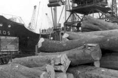Loading sycamore logs for export.