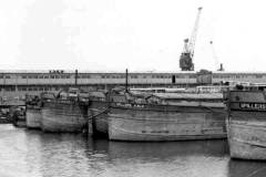 Barges in Albert Dock, Hull.