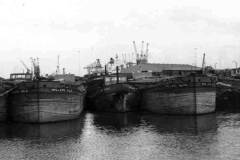 Barges in Albert Dock, Hull.
