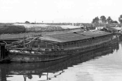 Moored dumb and motor barges.