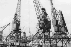 Travelling cranes in West Dock - South, Goole.