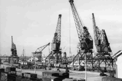 Cranes in West Dock South, Goole.