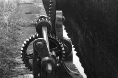 A rack and pinion lock paddle.