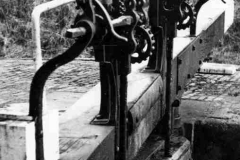 Two rack and pinion paddles.