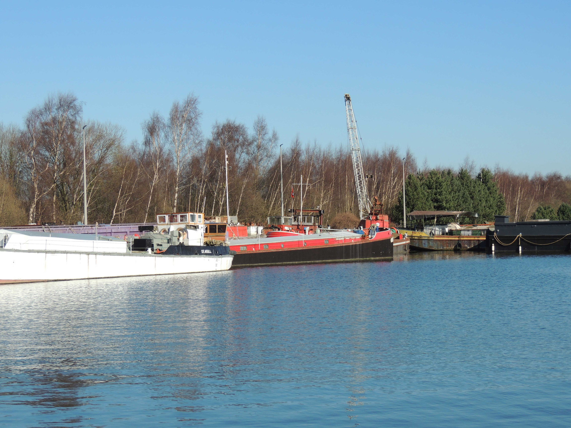View from the Coffee Dock at Goole Marina, March 2025